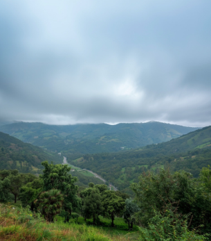 hill view property